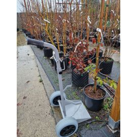 Diable &eacute;troit pour pots et containers *