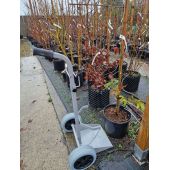 Diable &eacute;troit pour pots et containers *