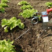 Sarcleuse &agrave; torsion