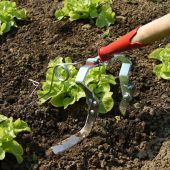 Sarcleuse &agrave; torsion