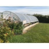 Serre Super Poly&eacute;thyl&egrave;ne 5m80 + a&eacute;rations lat&eacute;rales