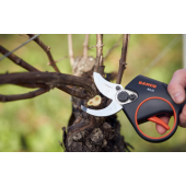 S&eacute;cateur &eacute;lectrique BCL23