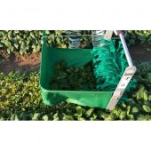 R&eacute;colteuse &agrave; Mesclun