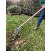 R&acirc;teau scarificateur dents rondes