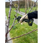 S&eacute;cateur &eacute;lectrique Wildhorn 32