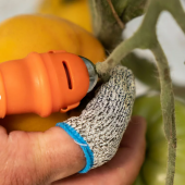 D&eacute; de r&eacute;colte pour le pouce