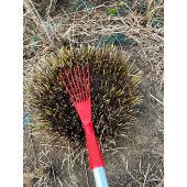 Griffe &agrave; gramin&eacute;es