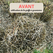 Griffe &agrave; gramin&eacute;es