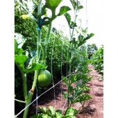 Filet &agrave; ramer/tuteurer