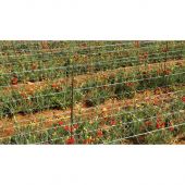 Filet &agrave; ramer/tuteurer