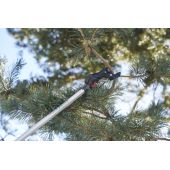 S&eacute;cateur sur perche Felco 290