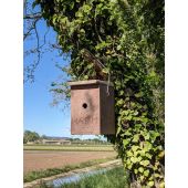 Nichoir m&eacute;sange bleue b&eacute;ton de bois