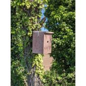 Nichoir m&eacute;sange bleue b&eacute;ton de bois