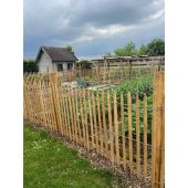 Ganivelle en robinier sci&eacute; *