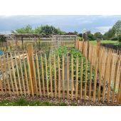 Ganivelle en robinier sci&eacute; *