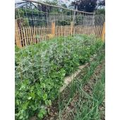 Filet &agrave; ramer en jute