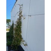 C&acirc;ble acier galvanis&eacute; 