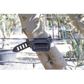 10 Liens Agilo pour p&eacute;pini&egrave;re