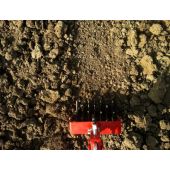 Rouleau &eacute;crouteur 