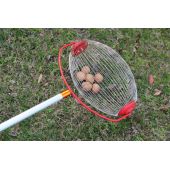 Ramasse-noix manche t&eacute;lescopique