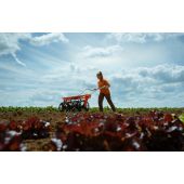 Rouleau pr&eacute;parateur perforateur 