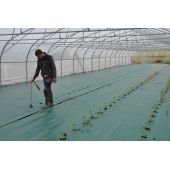 Perforateur de B&acirc;che