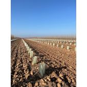 Tuteurs composites 100% recycl&eacute;s