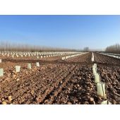 Tuteurs composites 100% recycl&eacute;s