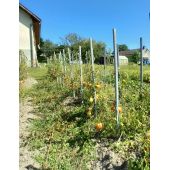 Tuteurs composites 100% recycl&eacute;s