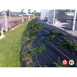 Toile de paillage noire 100g/m&sup2; *