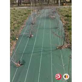 Toile de paillage verte 86g/m&sup2; *