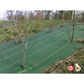 Toile de paillage verte 100g/m&sup2; *