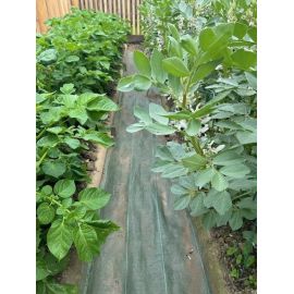 Toile de paillage &eacute;troite verte 130g/m&sup2;