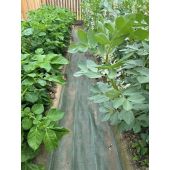 Toile de paillage &eacute;troite verte 130g/m&sup2;