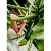 Couteau de r&eacute;colte n&deg;10 Opinel x Growers & Co.