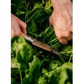 Couteau de r&eacute;colte n&deg;10 Opinel x Growers & Co.