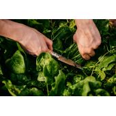 Couteau de r&eacute;colte n&deg;10 Opinel x Growers & Co.