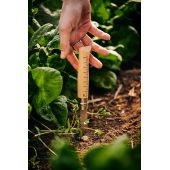 Couteau de r&eacute;colte n&deg;10 Opinel x Growers & Co.