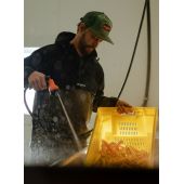 Pull de r&eacute;colte Castello unisexe Growers & Co.