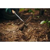 Sarcloir &agrave; main Growers & Co.