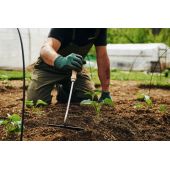 Sarcloir &agrave; main Growers & Co.