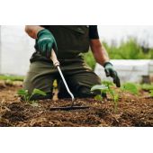 Sarcloir &agrave; main Growers & Co.