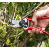 S&eacute;cateur Felco 2