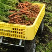 Chariot pour la r&eacute;colte *