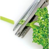 Ciseaux catch pour roses, fruits et l&eacute;gumes