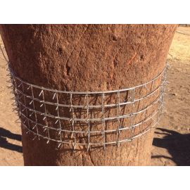 Lot de 10 couronnes cactus