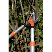 Ebrancheur t&eacute;lescopique PG-19-F