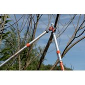 Ebrancheur t&eacute;lescopique PG-19-F