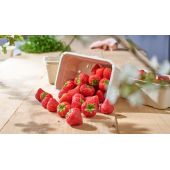 Barquettes en cellulose moul&eacute;e