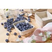 Barquettes en cellulose moul&eacute;e